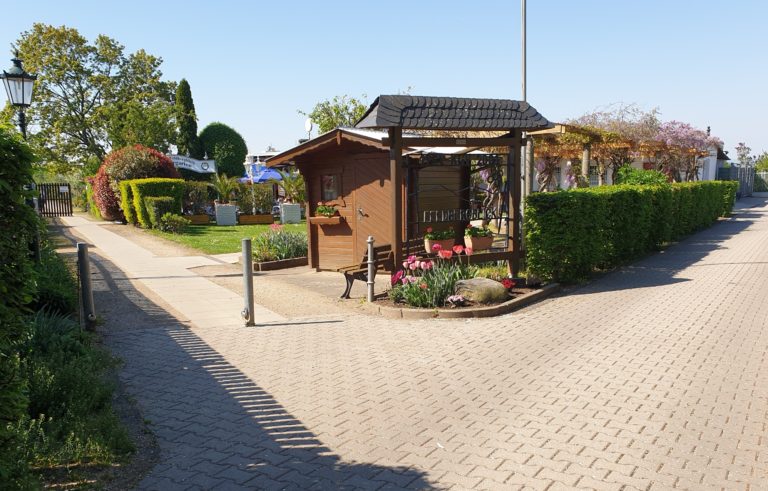 In unserem Verein verfügen wir über 246 Kleingärten, die von unseren